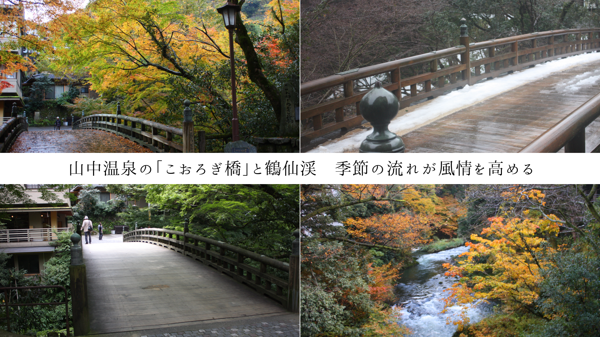 油Ρ֤פ̡ή줬