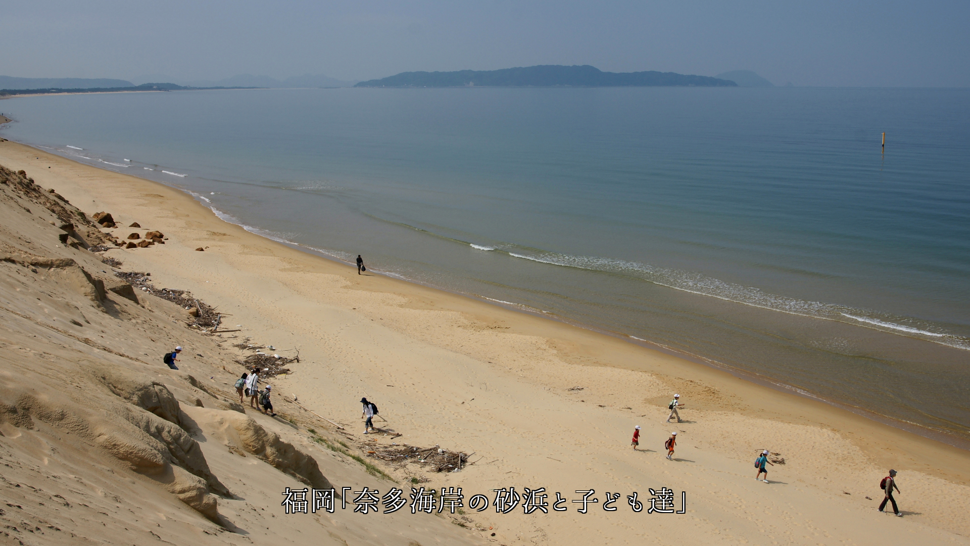 草原の野草 山の朝日 南の島と大橋 子たちが遊ぶ砂浜 ロマンに富む