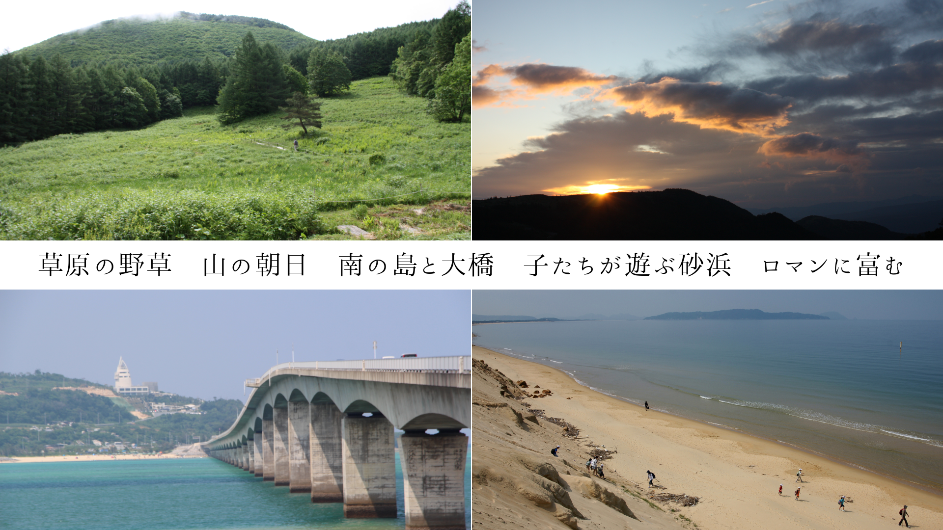 草原の野草 山の朝日 南の島と大橋 子たちが遊ぶ砂浜 ロマンに富む