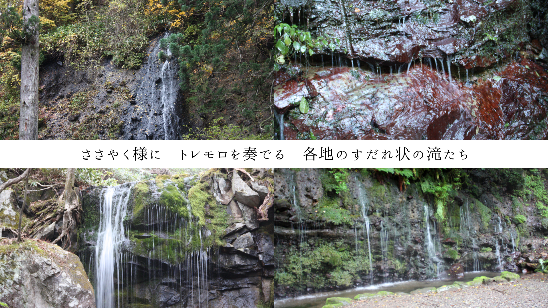 �����䤯�ͤˡ��ȥ������դǤ롡���ϤΤ���������줿��