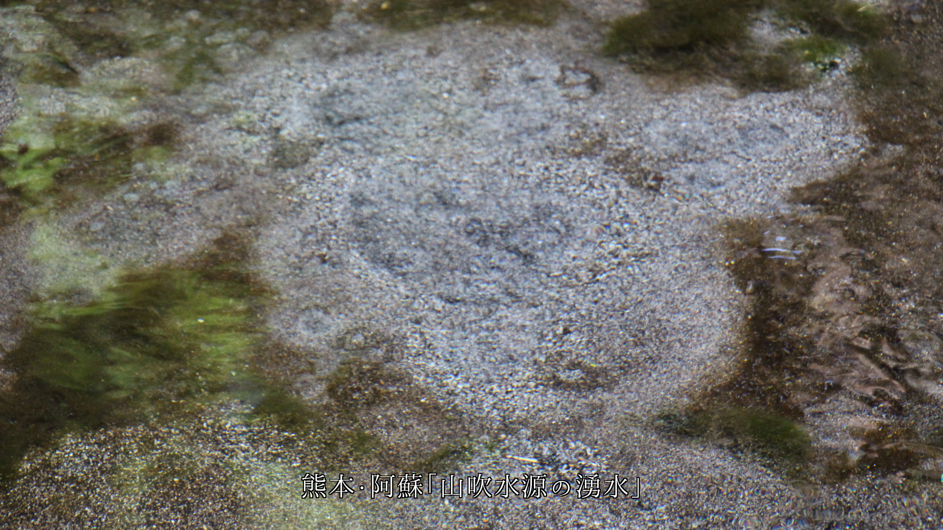とめどなく湧き出て 清く流れる 各地の湧き水 砂も時も流れ動く