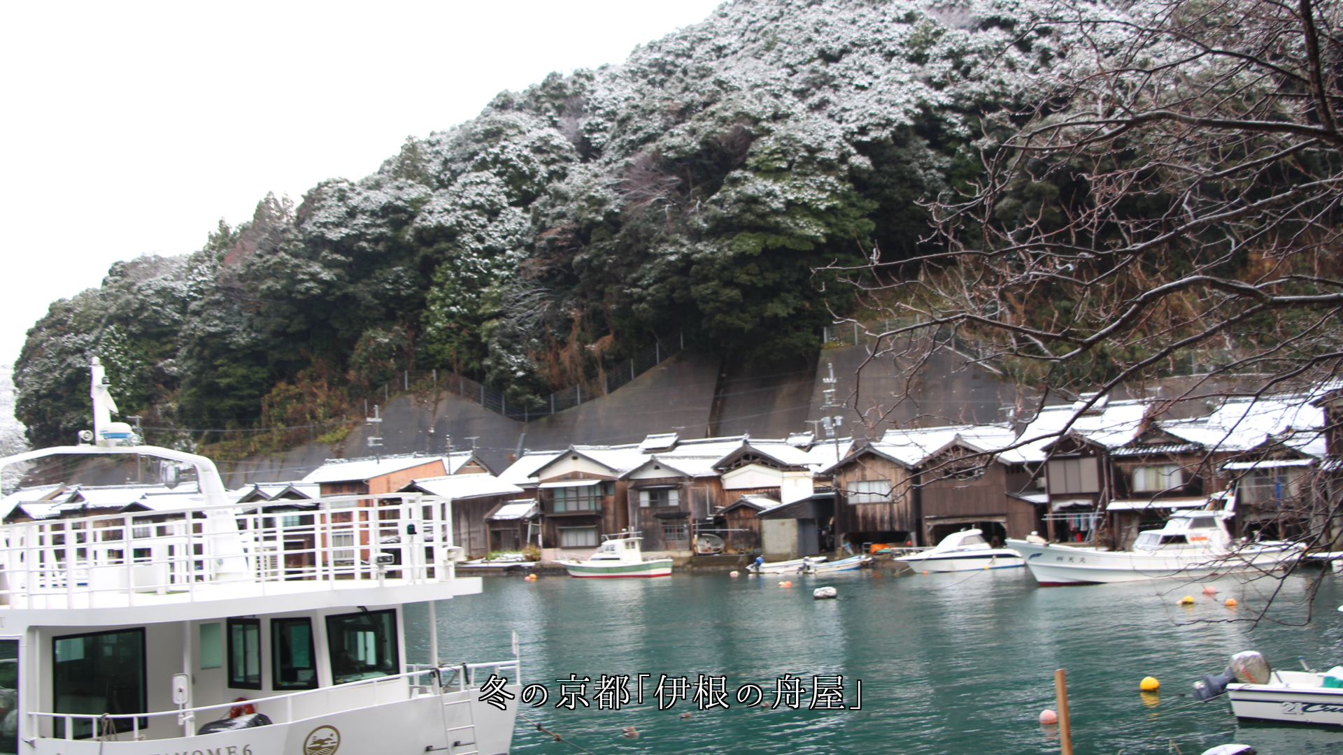 ���줾�쵨��ǡ���̱�����褬�����롡���Ϥ����ɤޤꡡ�͡��˴��դ���