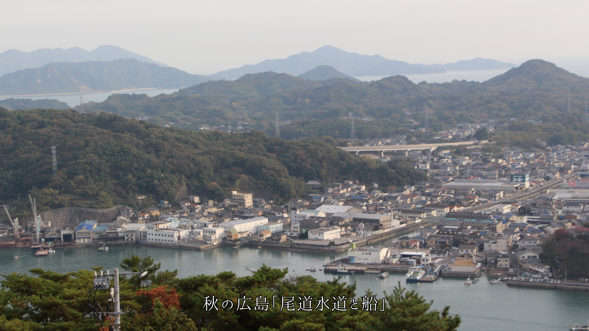 ���줾�쵨��ǡ���̱�����褬�����롡���Ϥ����ɤޤꡡ�͡��˴��դ���