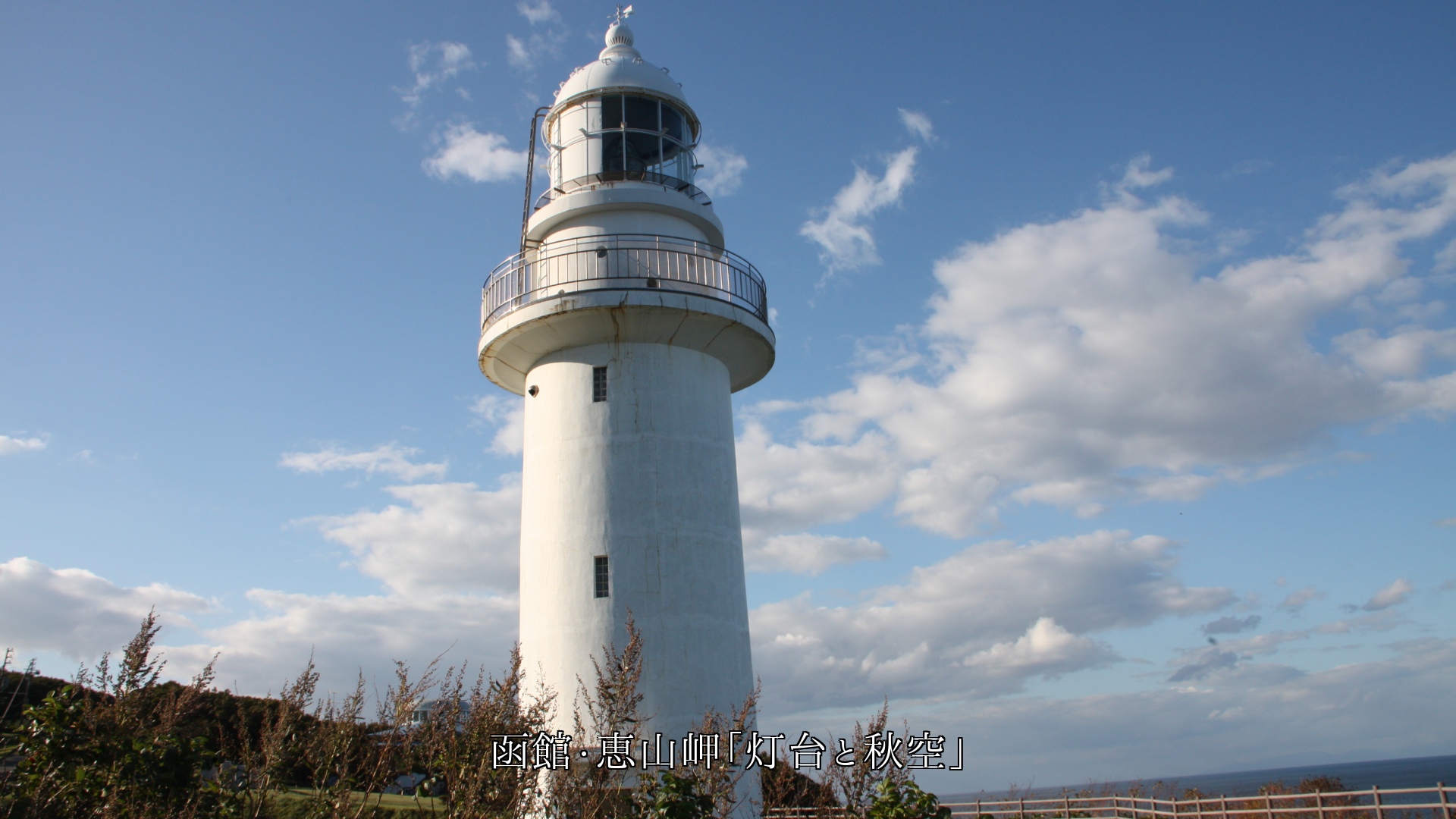 �̹�ˤ���̨�����淲�����ȿ͡��ΰ����Τ���ˡ��������������