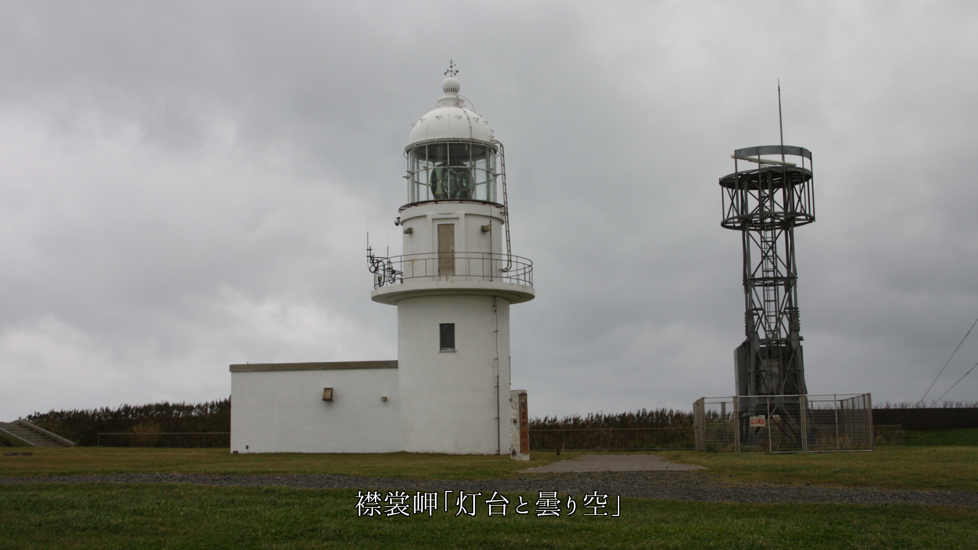 �̹�ˤ���̨�����淲�����ȿ͡��ΰ����Τ���ˡ��������������