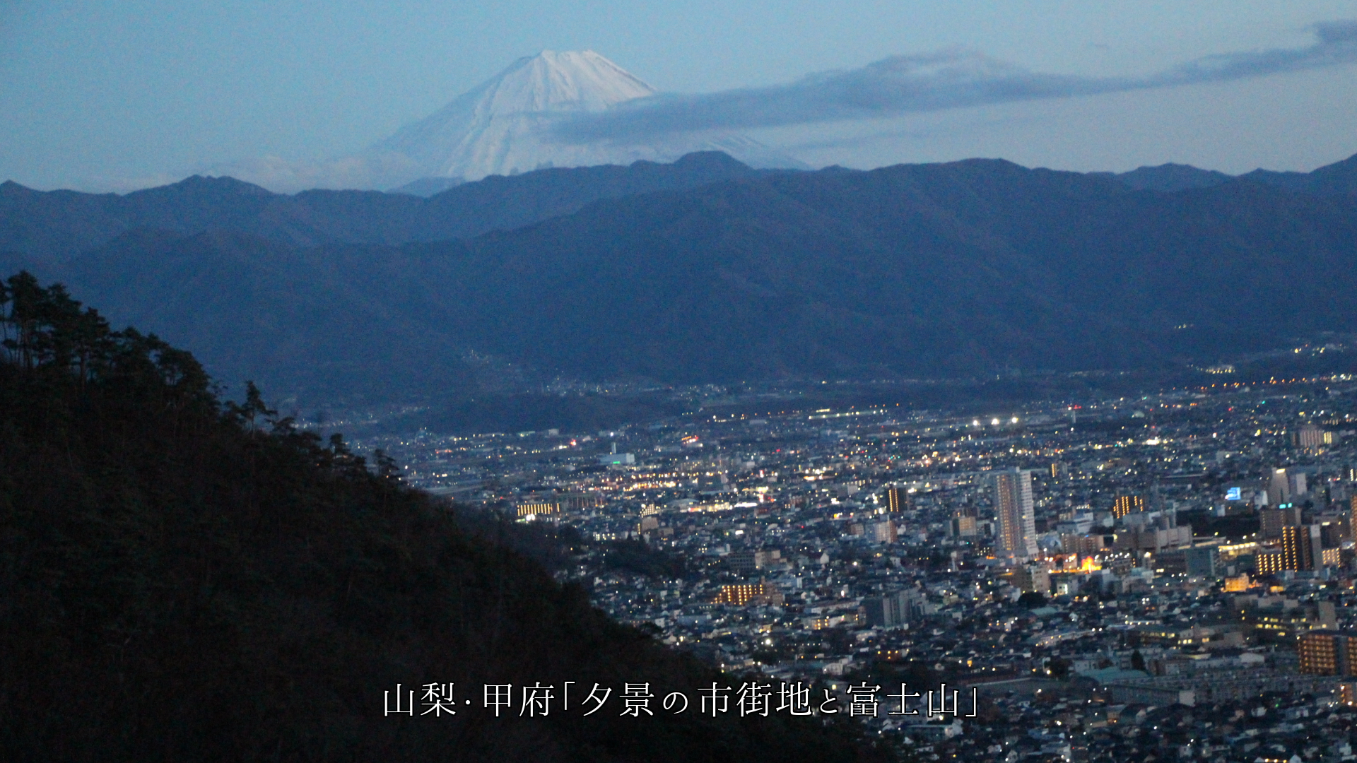 �ͤϳ������������ζ�����äƤ��롡���˳��ˡ���Ȫ��Į�¤ߤ�