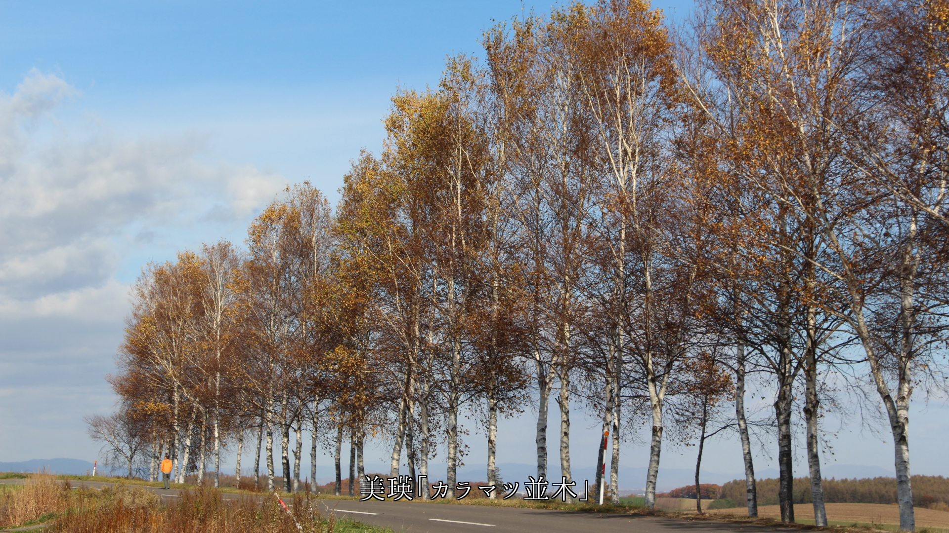 �ڤ����ϡ����������̡�Ω�Τ��Ϥꡡ�ʾ��ϤȤʤäơ��͡���̥λ���ޤ�