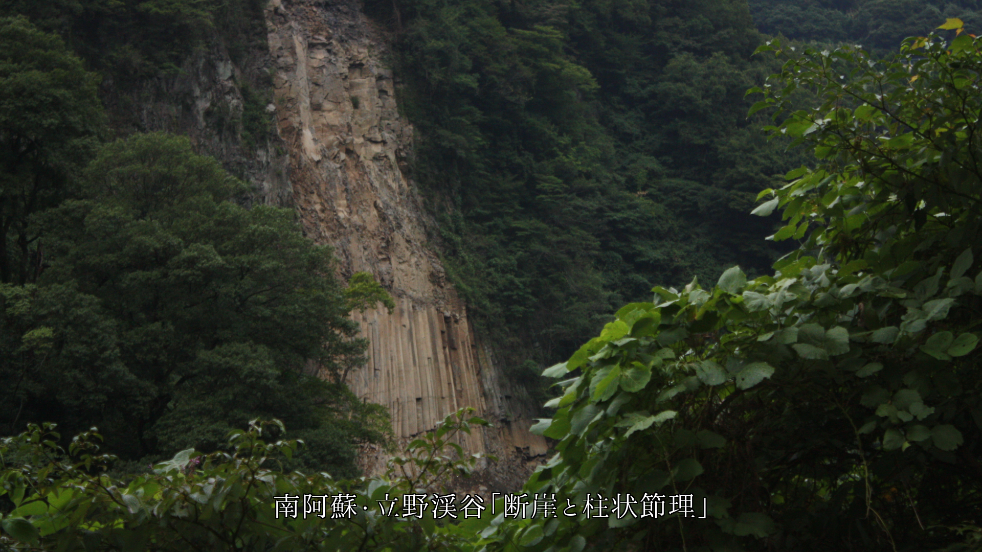 ��ë�仳�ƤǤ��ǳ�����ɡ�������Ѳ������ʴ������Ϥꤢ����