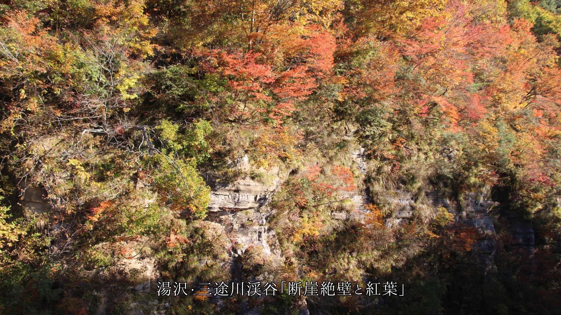 ��ë�仳�ƤǤ��ǳ�����ɡ�������Ѳ������ʴ������Ϥꤢ����