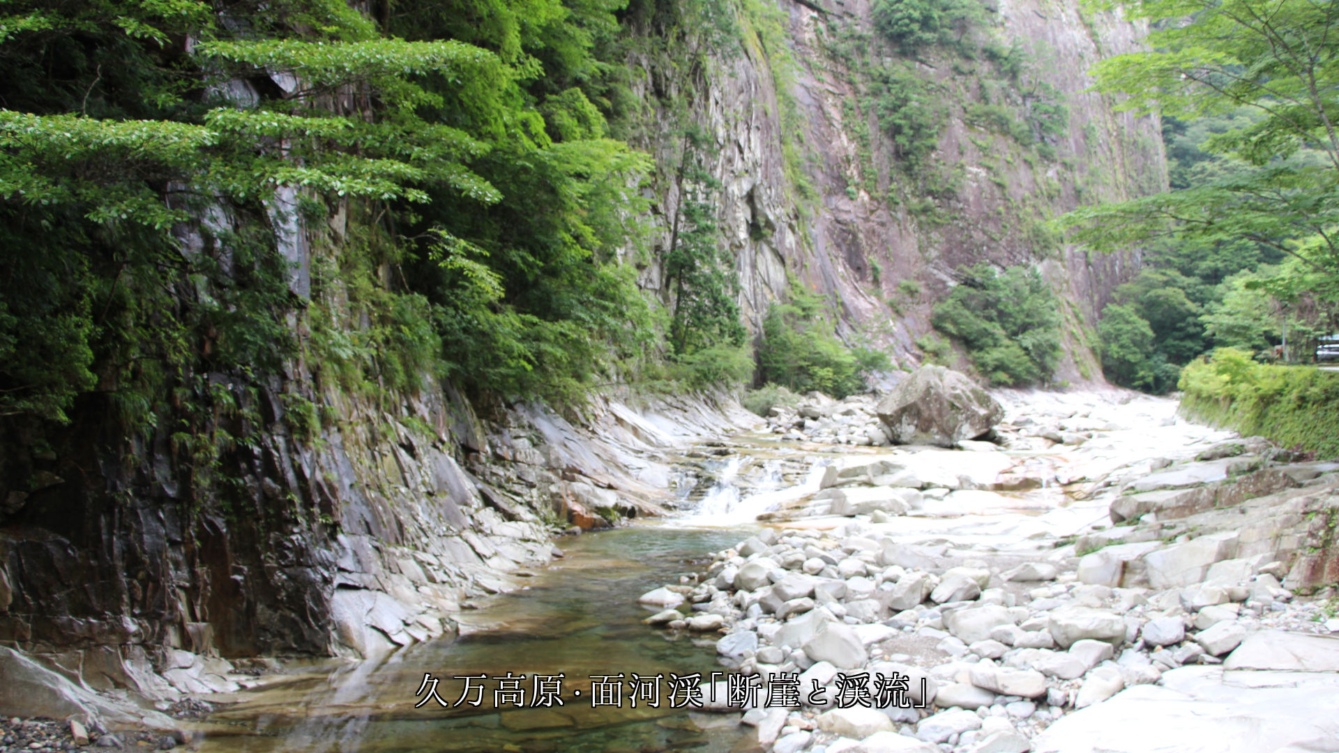 ��ë�仳�ƤǤ��ǳ�����ɡ�������Ѳ������ʴ������Ϥꤢ����