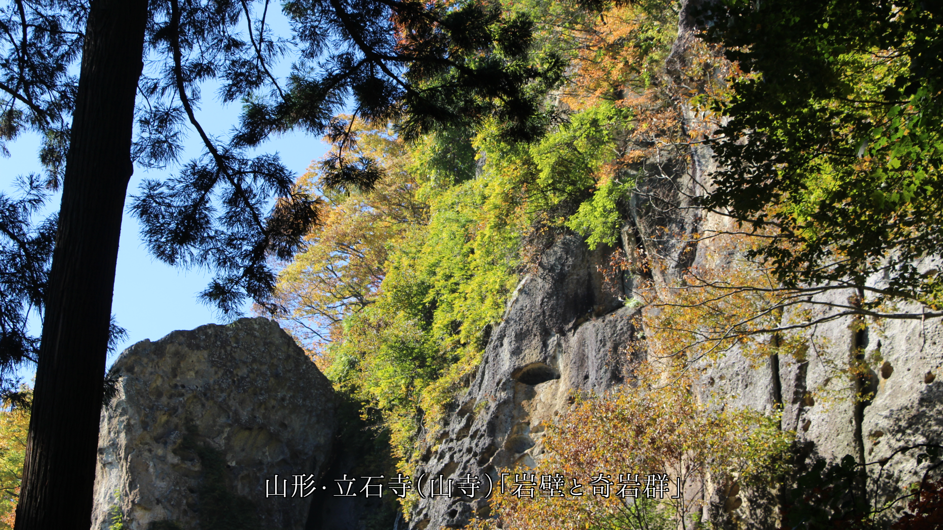 ��ë�仳�ƤǤ��ǳ�����ɡ�������Ѳ������ʴ������Ϥꤢ����