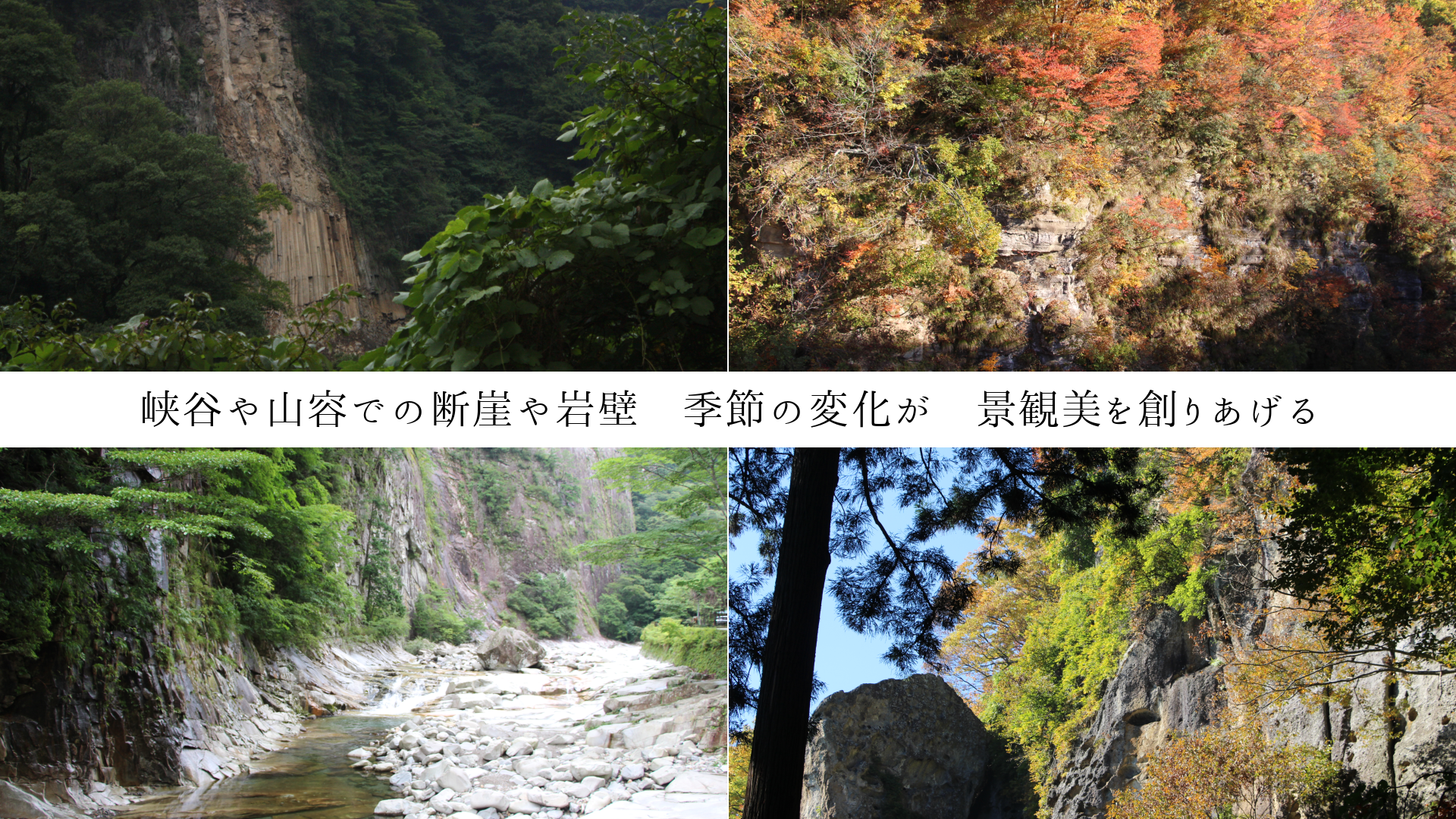 ��ë�仳�ƤǤ��ǳ�����ɡ�������Ѳ������ʴ������Ϥꤢ����