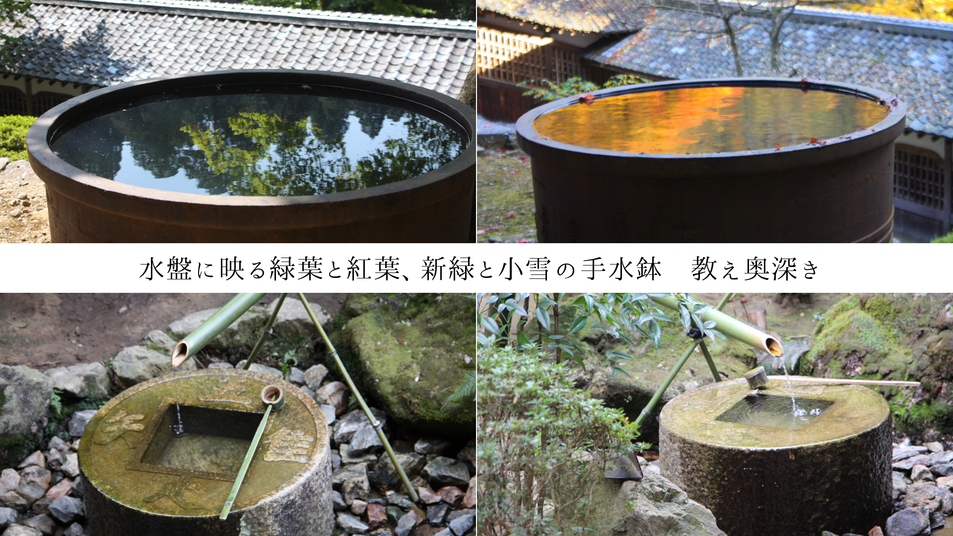 水盤に映る緑葉と紅葉、新緑と小雪の手水鉢　教え奥深き