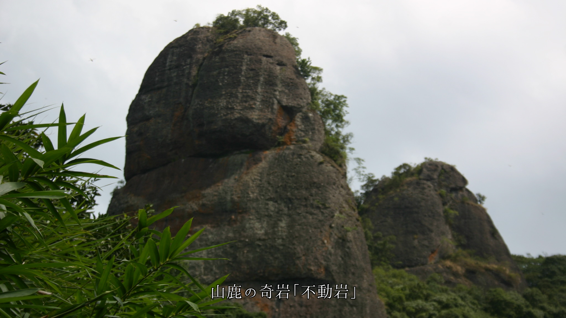 ŷ�����Ϥ뻳��֤δ�䷲���ʾ��ϤȤʤäơ����Ĥ�͡���̥λ����