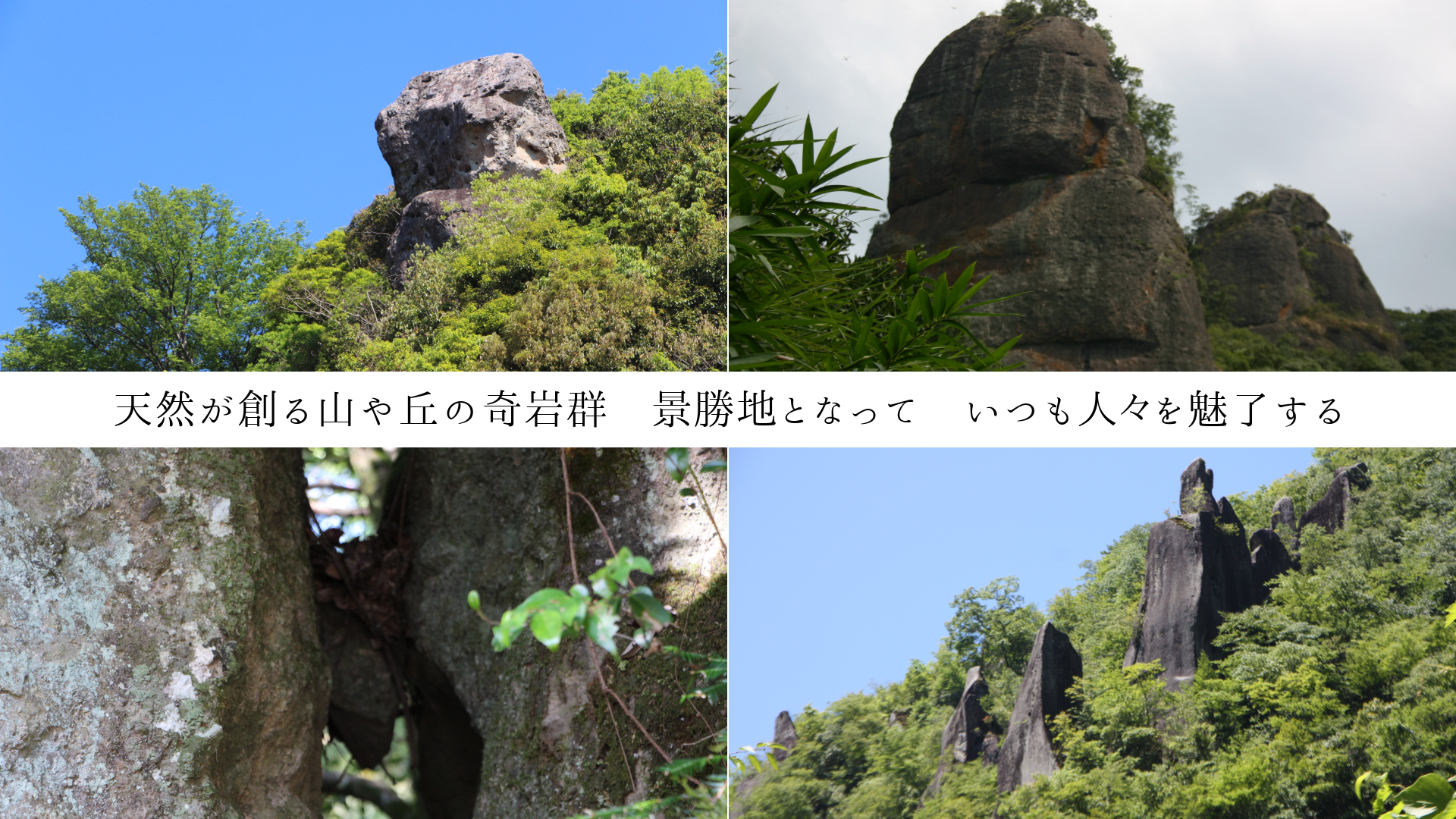ŷ�����Ϥ뻳��֤δ�䷲���ʾ��ϤȤʤäơ����Ĥ�͡���̥λ����