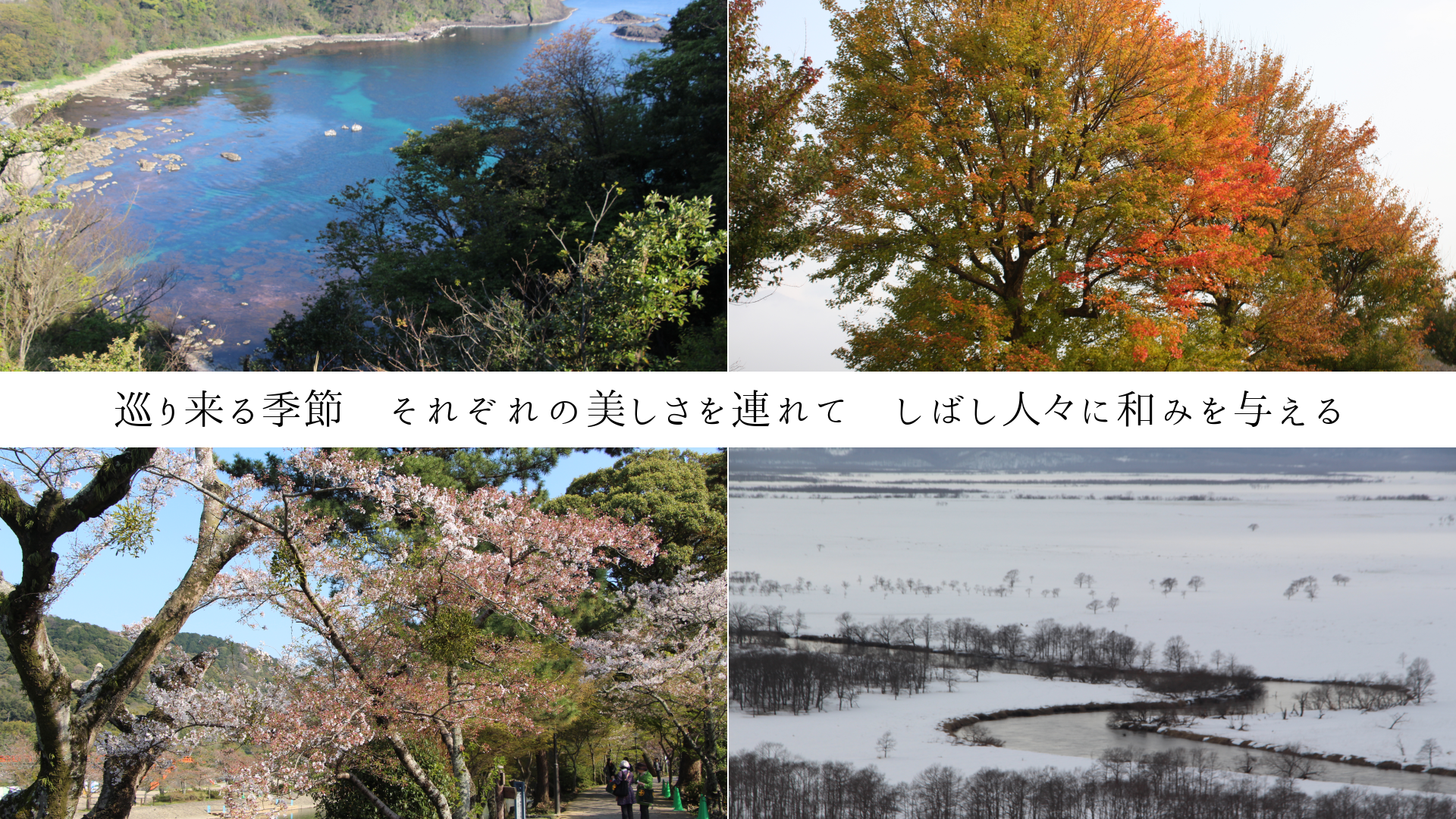 巡り来る季節 それぞれの美しさを連れて しばし人々に和みを与える