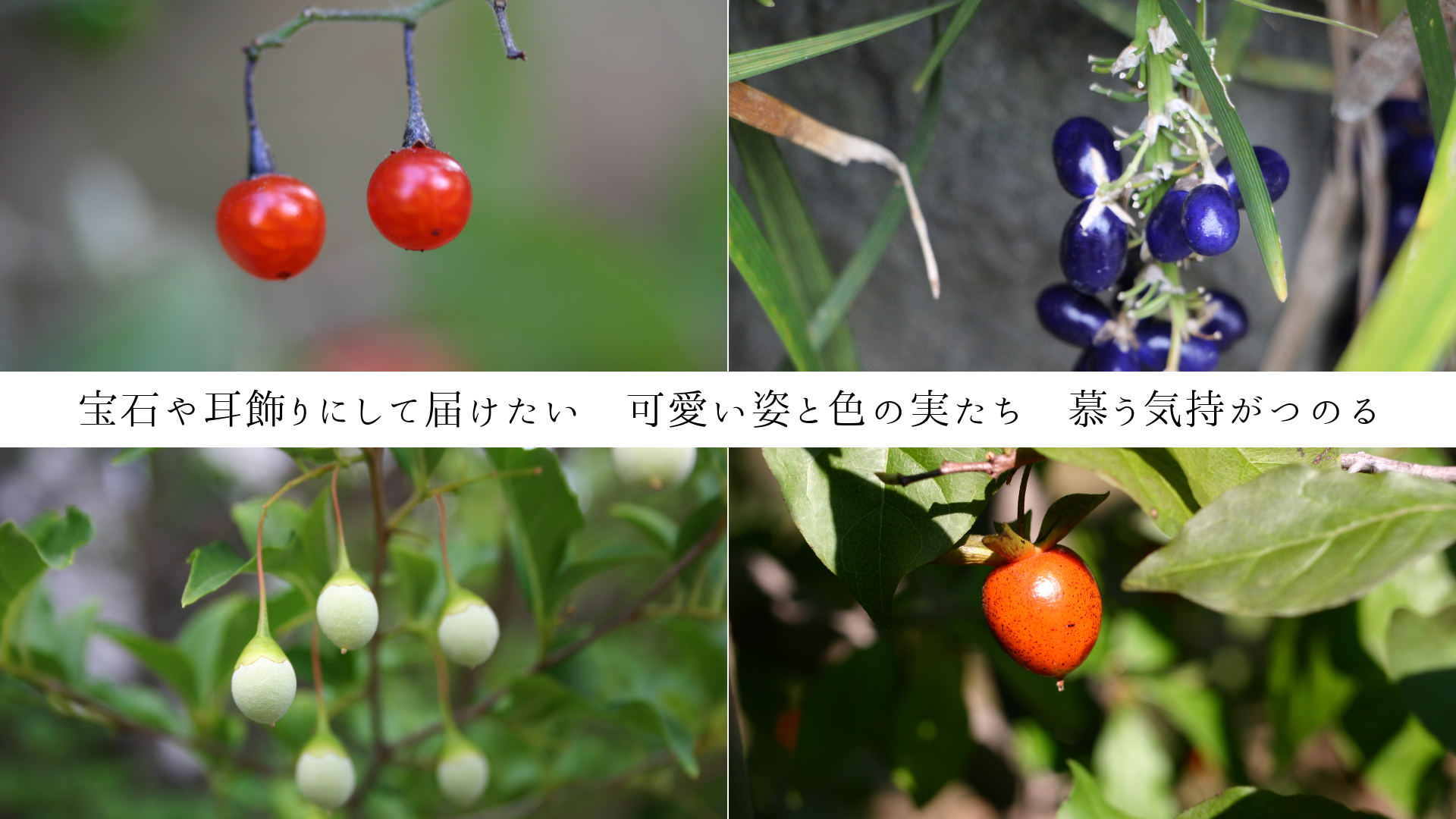 ���Ф伪����ˤ����Ϥ��������İ����Ѥȿ��μ¤������餦�������ĤΤ�