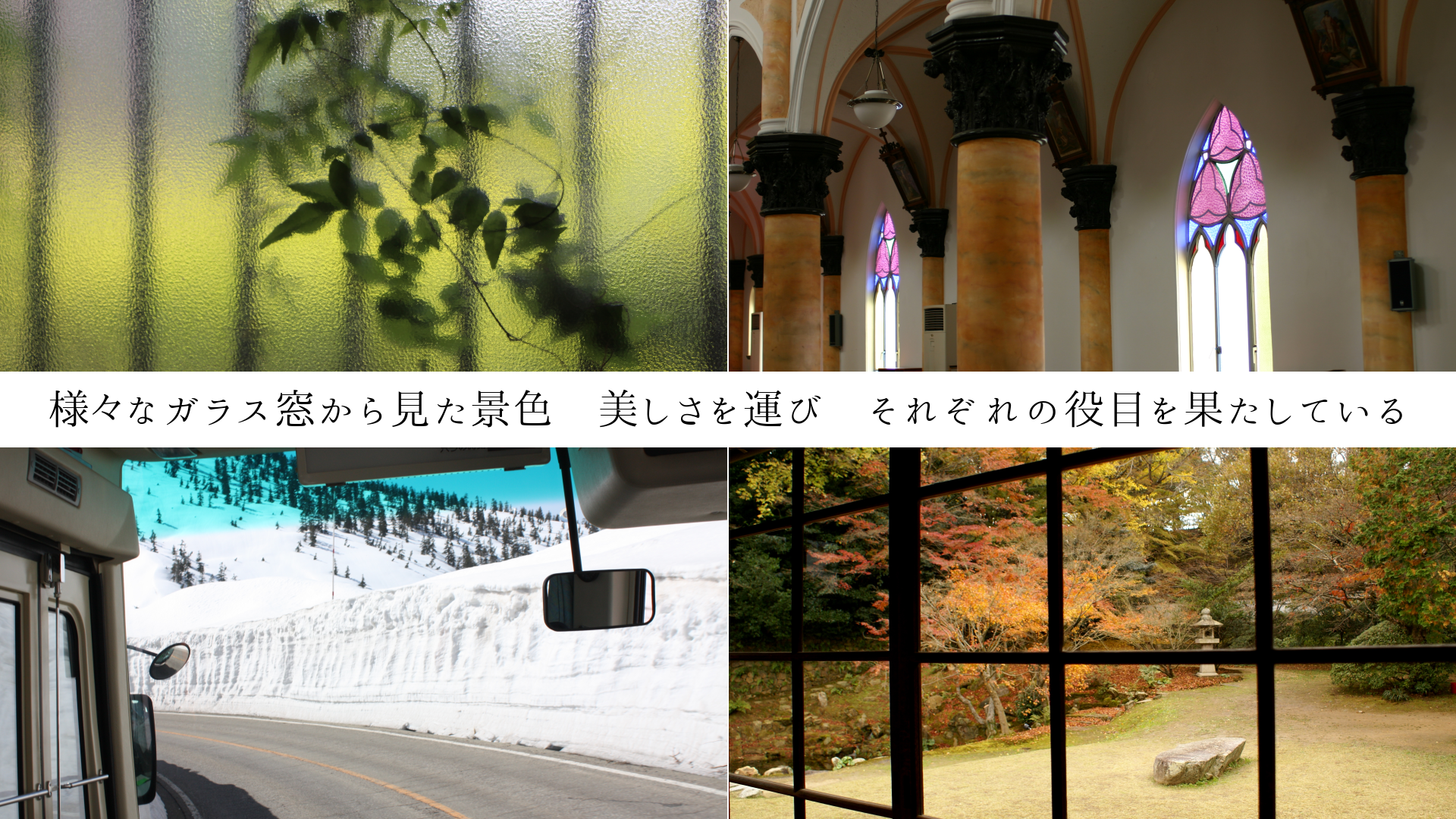 �͡��ʥ��饹�뤫�鸫���ʿ����������򱿤ӡ����줾������ܤ�̤����Ƥ���