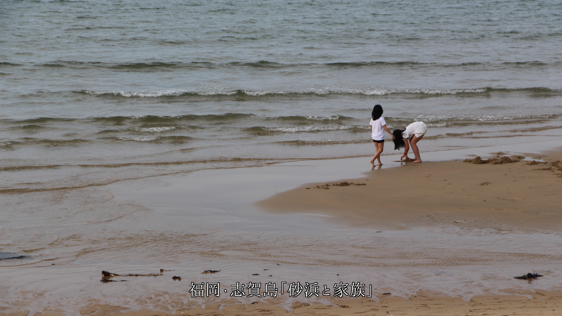 明日への慈愛を感じるよ 海岸の小波 そして静かに暮れゆく海辺に