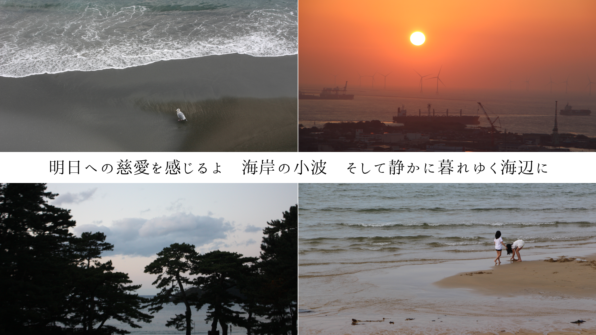 明日への慈愛を感じるよ 海岸の小波 そして静かに暮れゆく海辺に