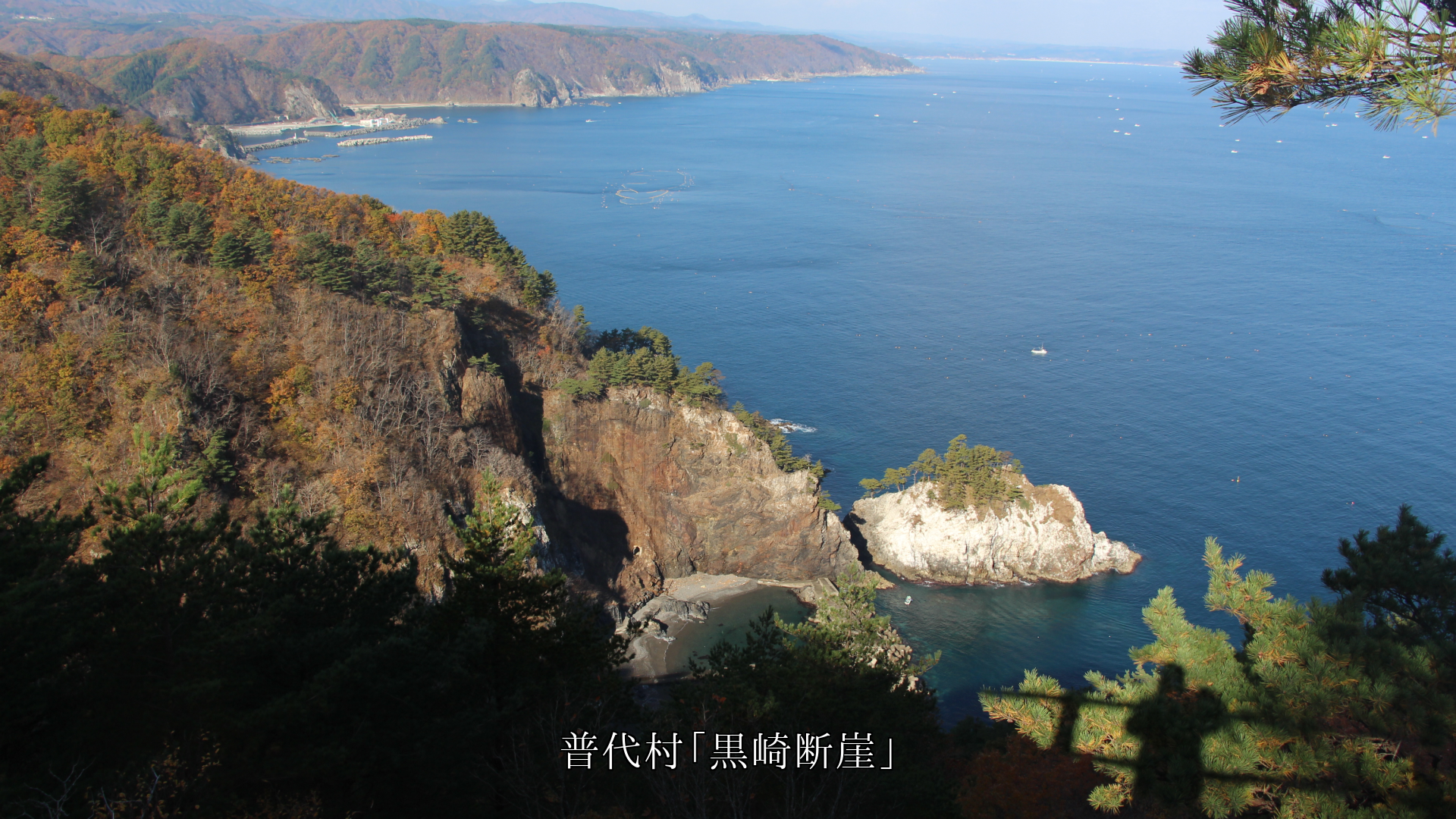 �ǳ����Ǥ��󤻤���ʿ�Τ��ȡ��ż�����ա���Φ���ߤϿ͡���̥λ����