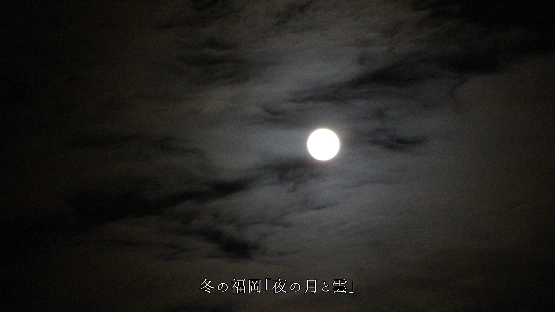 姿を変える月 夜だけでなく朝や昼にも 月は四季を巡り生きている