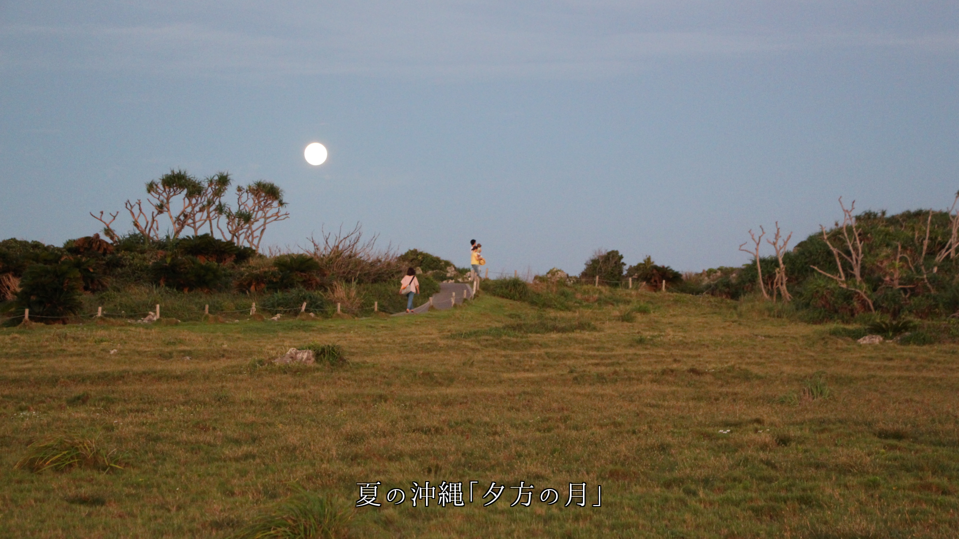 姿を変える月 夜だけでなく朝や昼にも 月は四季を巡り生きている
