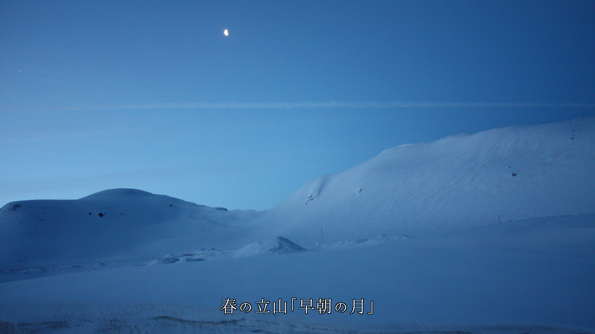 姿を変える月 夜だけでなく朝や昼にも 月は四季を巡り生きている