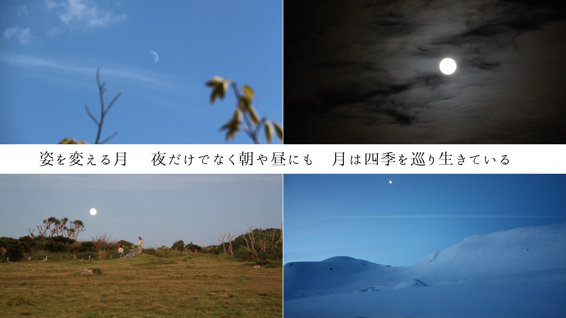 姿を変える月 夜だけでなく朝や昼にも 月は四季を巡り生きている