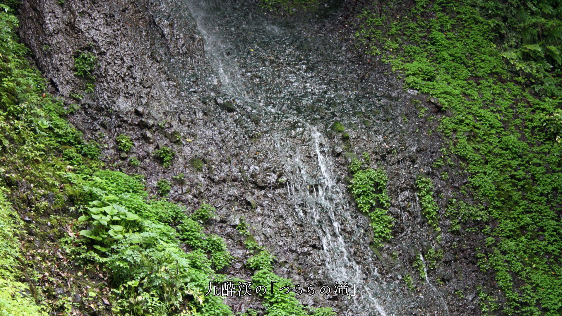 すだれ状に 流れ落ちる滝  岩肌や苔に　馴染んでいる　趣もある
