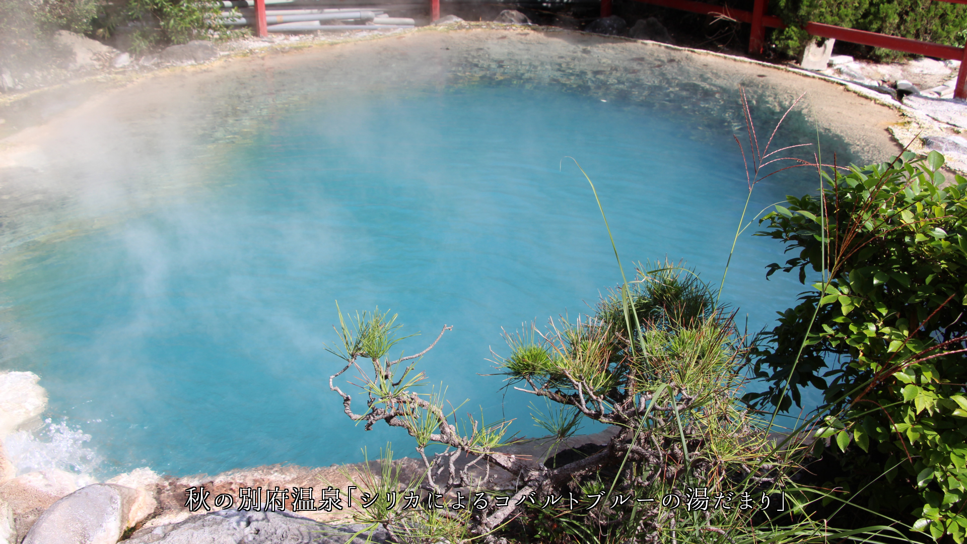 別府の観光めぐり　多彩な色の湯だまり　温泉の恵みが生きている　　