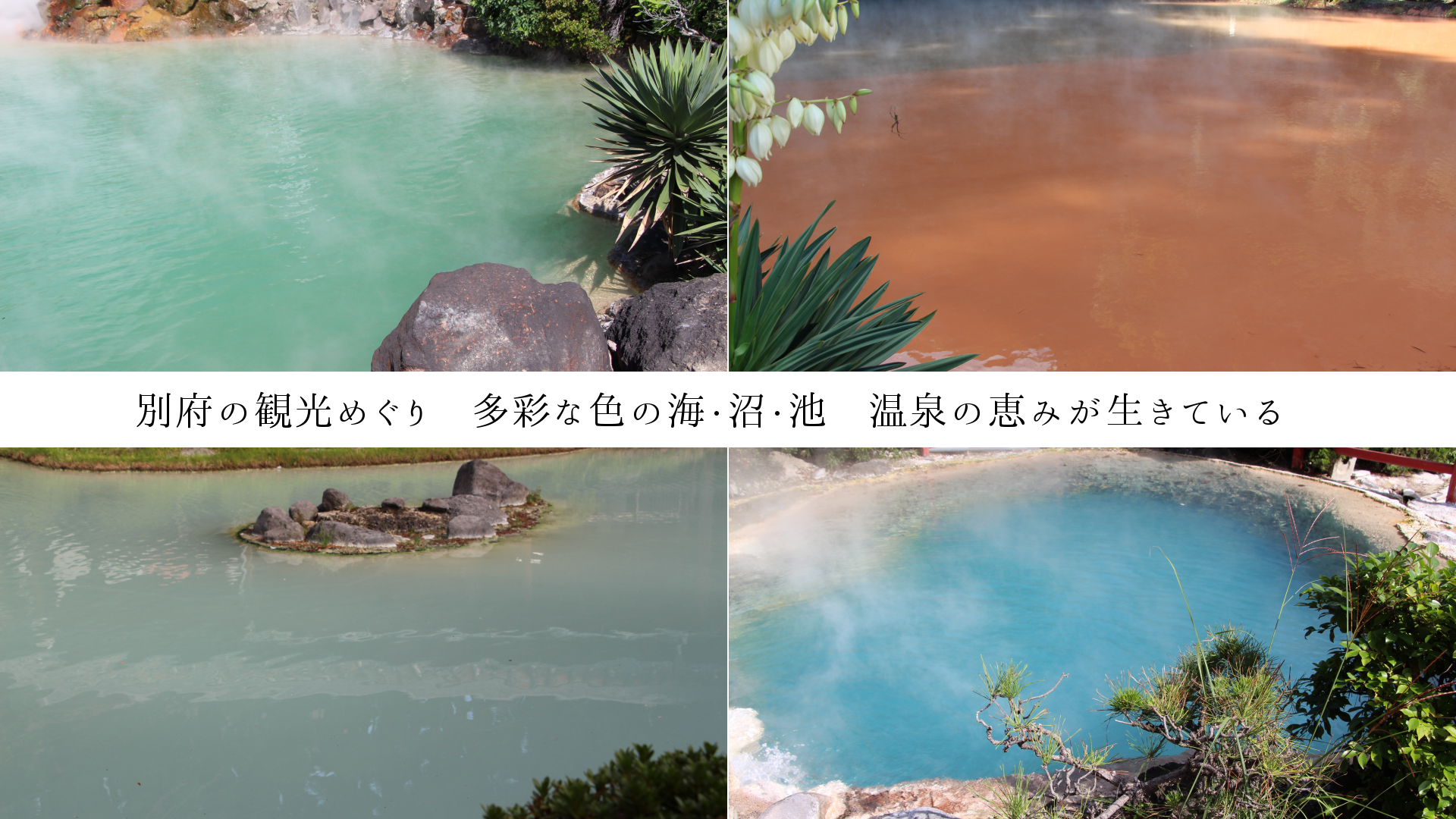 別府の観光めぐり　多彩な色の湯だまり　温泉の恵みが生きている　　