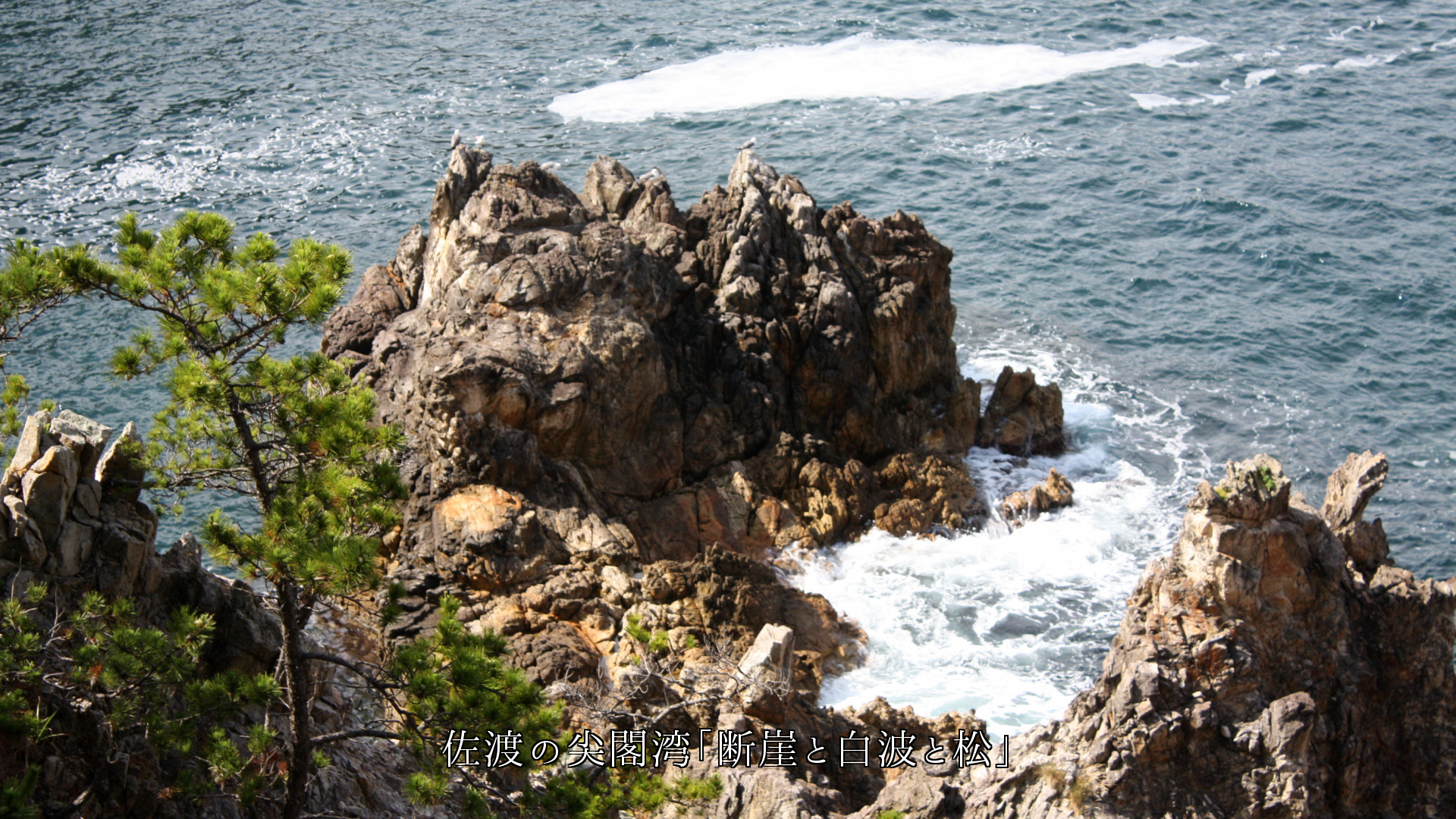 海が吠え　岩の飛沫が叫ぶ岬の断崖　やがて収まり植物たちが潮風にそよぐ　
