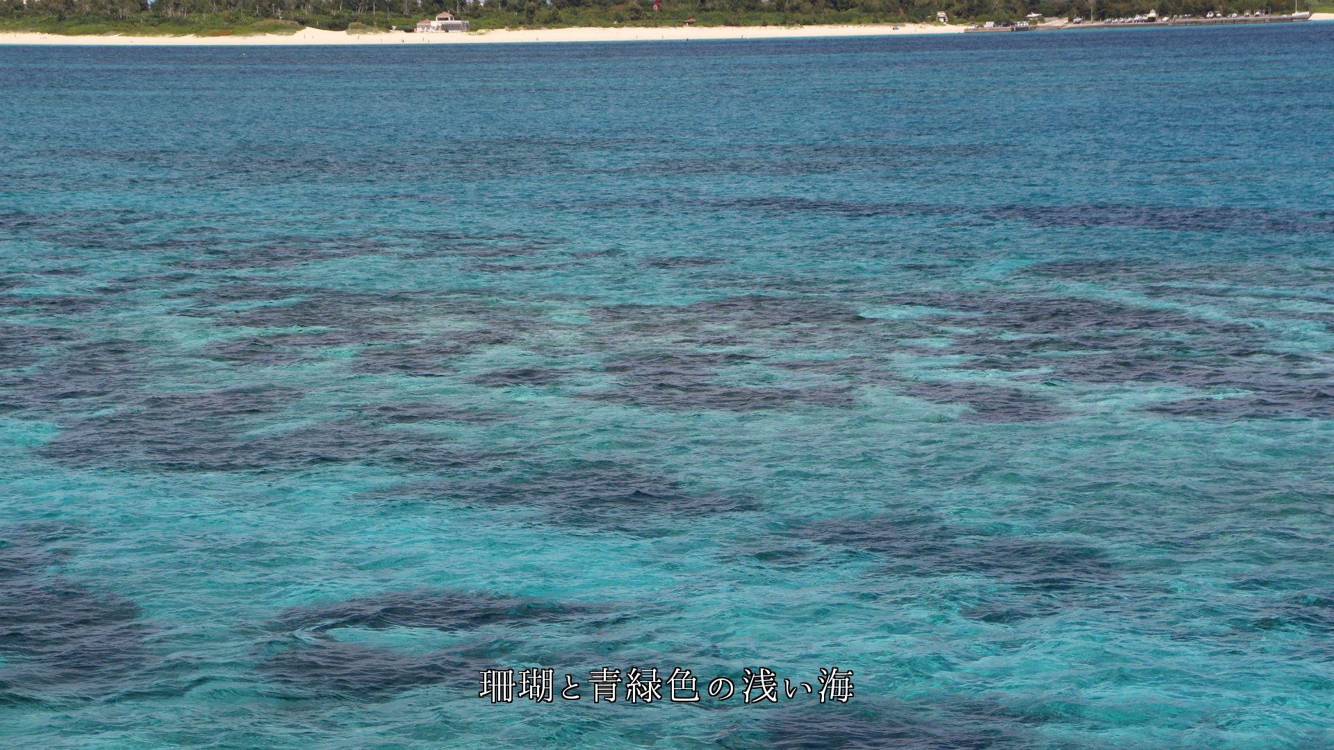 白い波が寄せ来るサンゴ礁、向こうは紺青の海　胸が震える