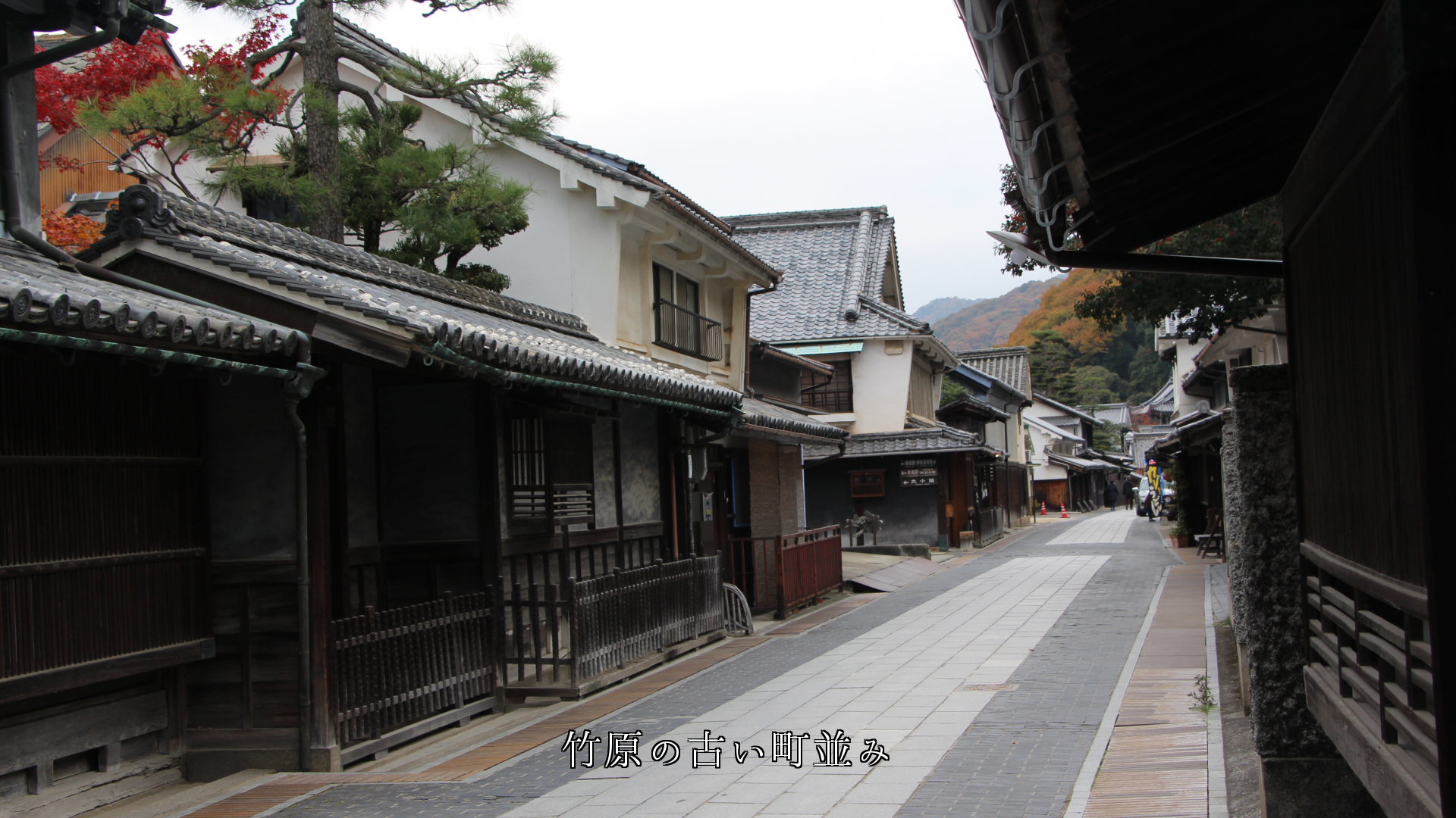 江戸時代の雰囲気を残した　商家の街並み  そのままの姿で居てほしい