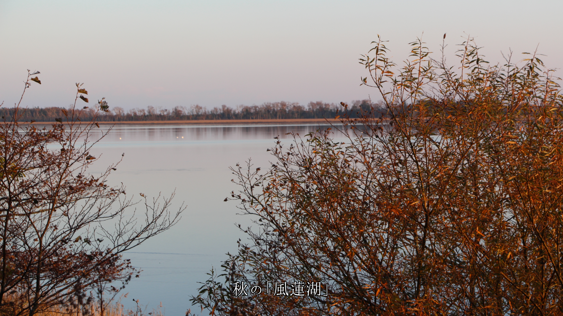 深緑、紅葉、氷雪、新緑の風蓮湖　水辺も季節に寄り添う