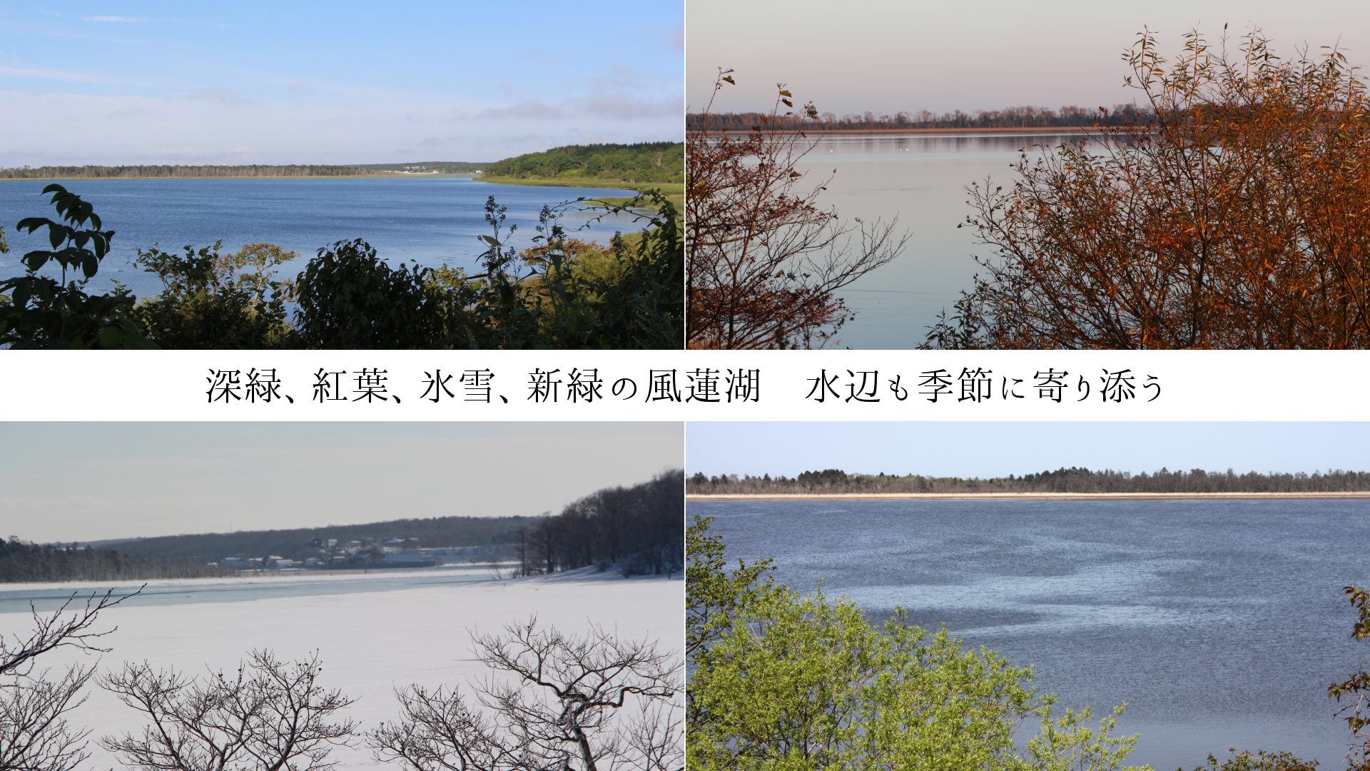 深緑、紅葉、氷雪、新緑の風蓮湖　水辺も季節に寄り添う