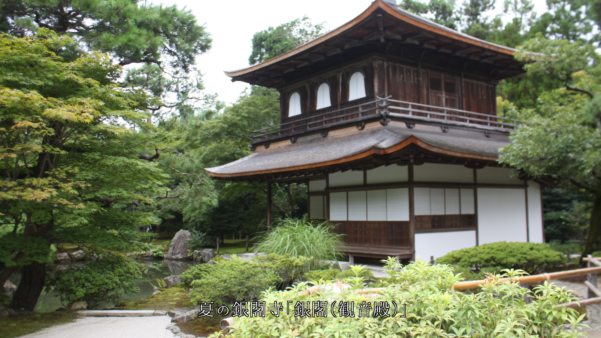 歴史を語る銀閣庭園を巡る四季　京都文化の雅さがある