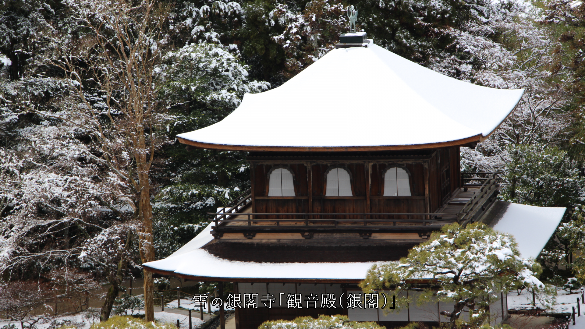 歴史を語る銀閣庭園を巡る四季　京都文化の雅さがある