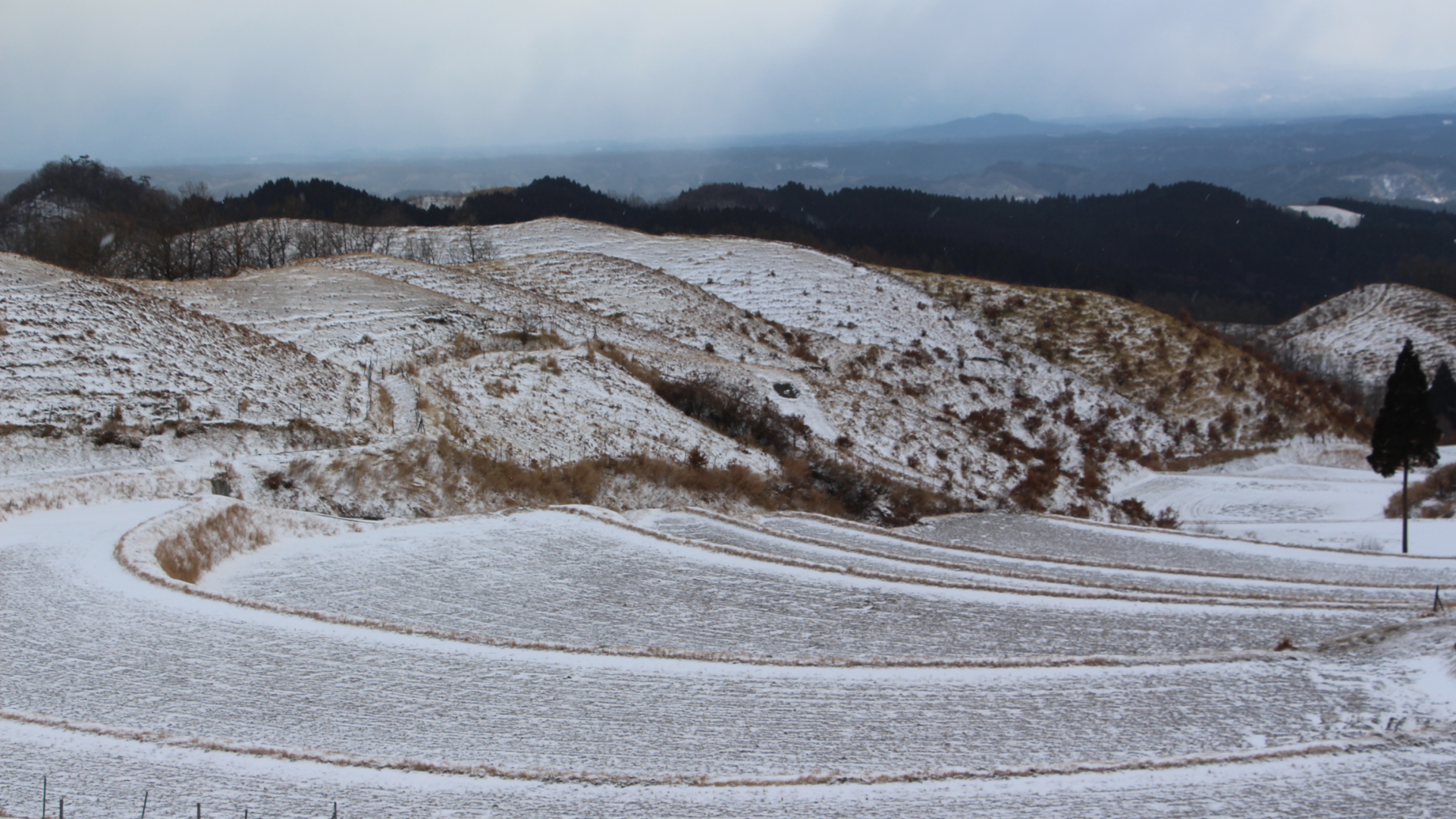 阿蘇の山に囲まれた棚田　扇の形で四季の移ろいを示す