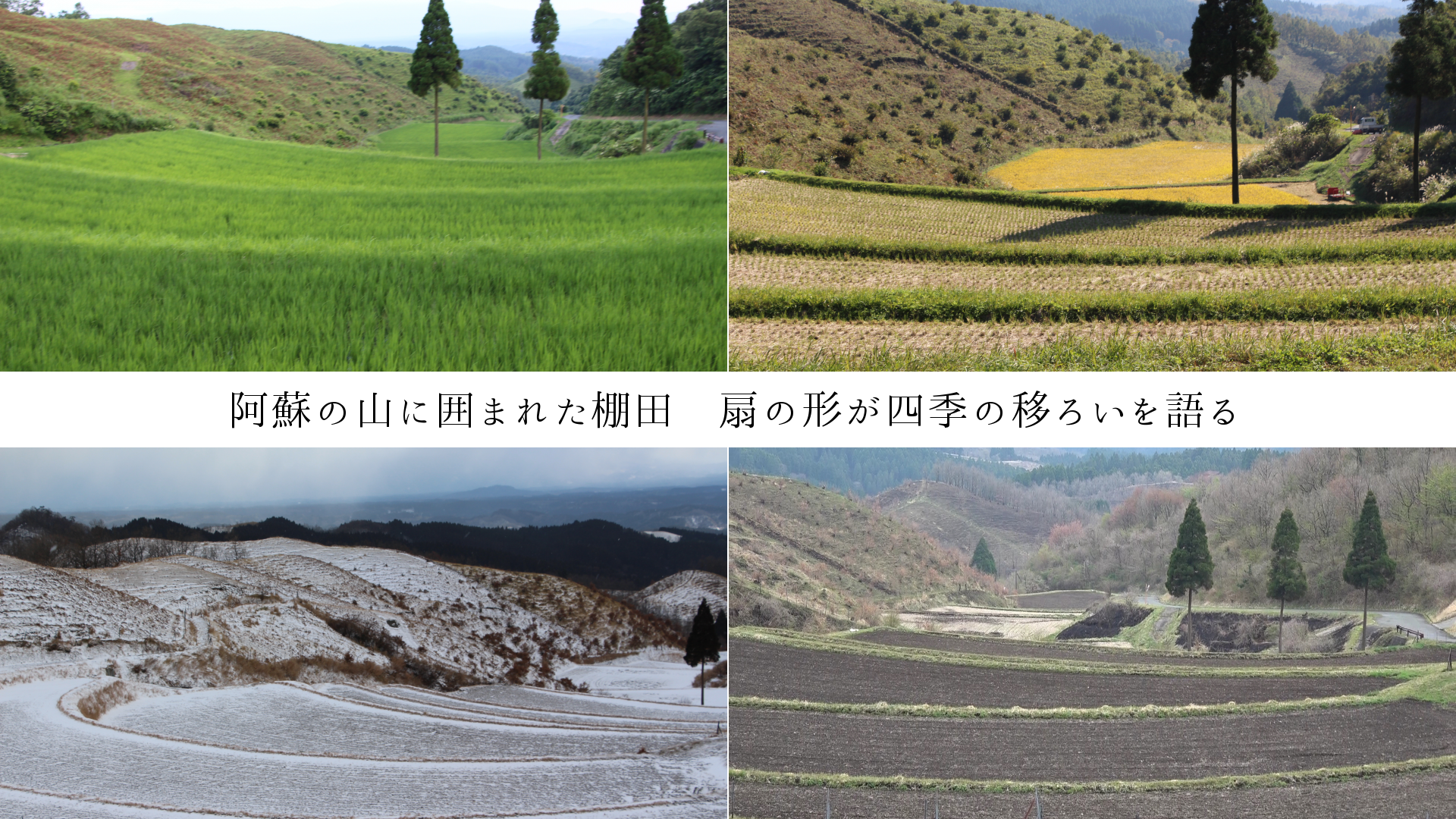 阿蘇の山に囲まれた棚田　扇の形で四季の移ろいを示す