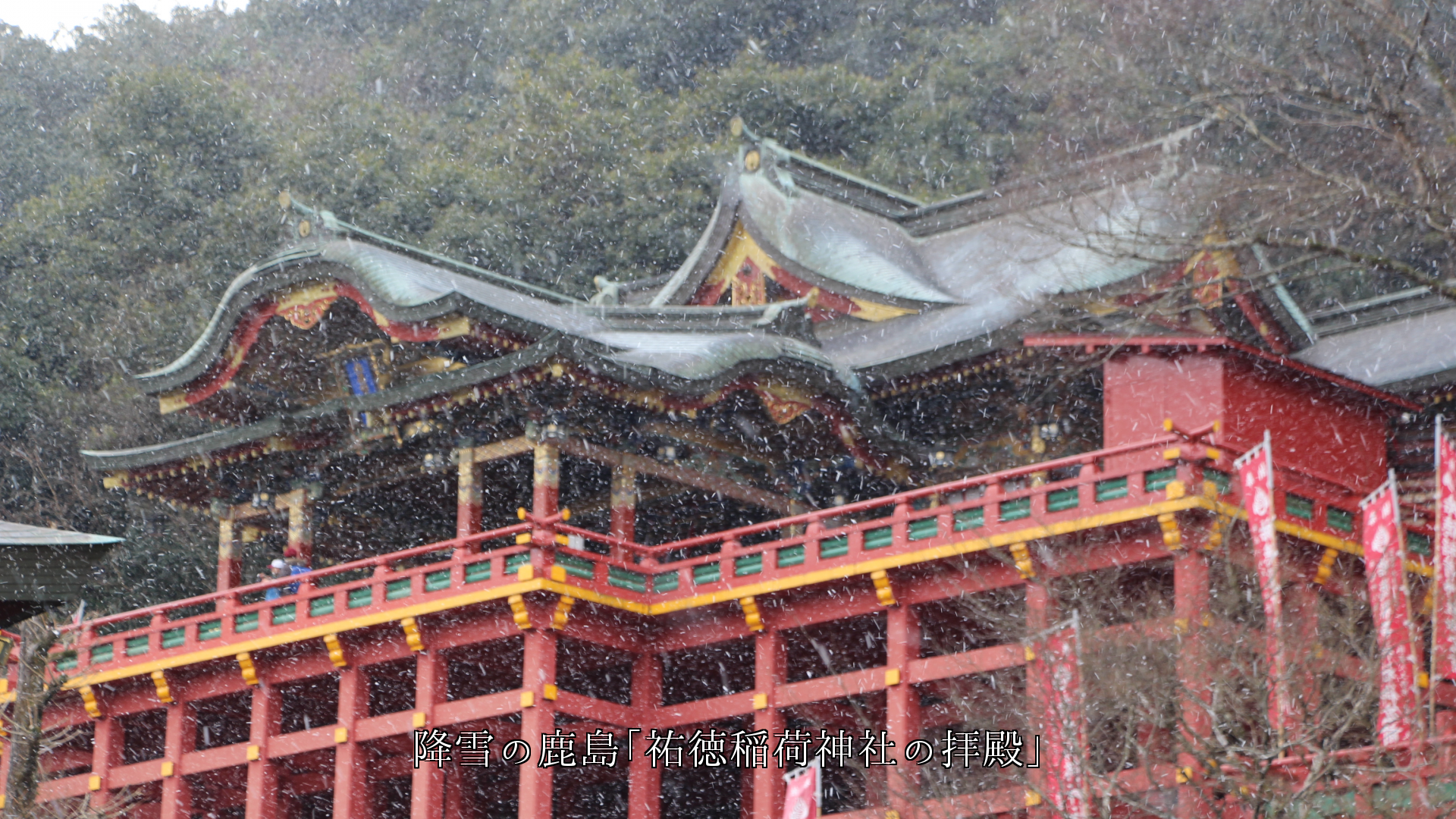 各地の白い風雪下の神社　より厳粛となる　朱色の拝殿や楼門