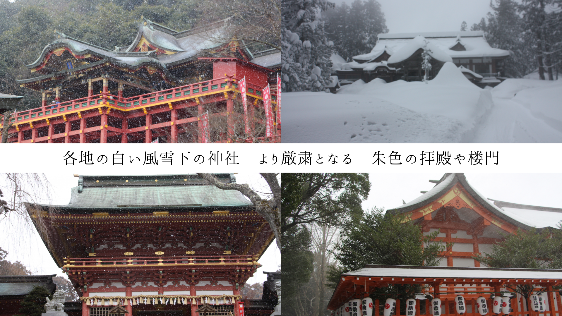 各地の白い風雪下の神社　より厳粛となる　朱色の拝殿や楼門