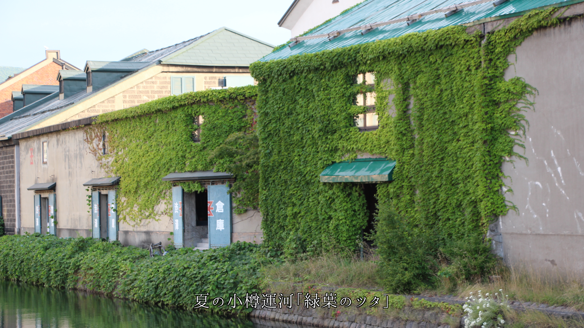 ツタが這う レンガや木造の建物の壁 城の石垣 季節の風情を高める