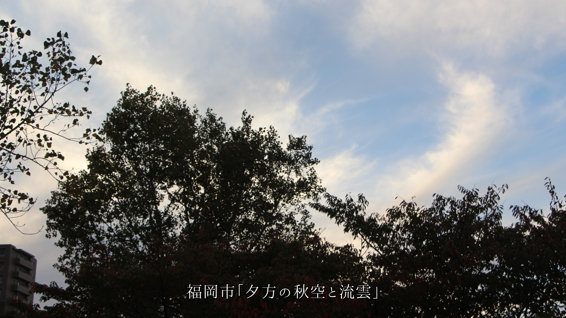 入り日と月 風と雲 自然の営みが 胸に染み込み 励ましてくれます
