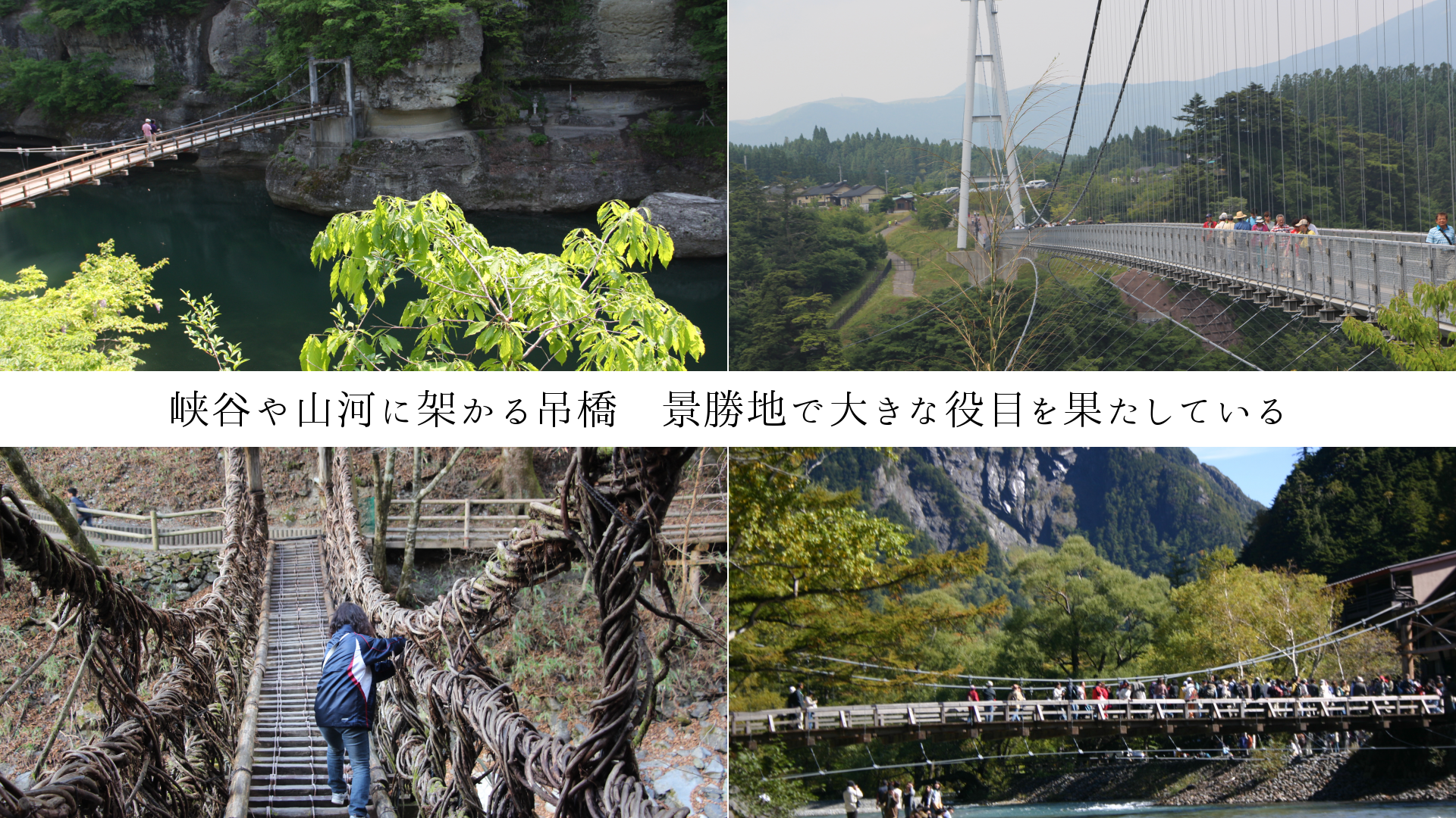 峡谷や山河に架かる吊橋　景勝地で大きな役目を果たしている