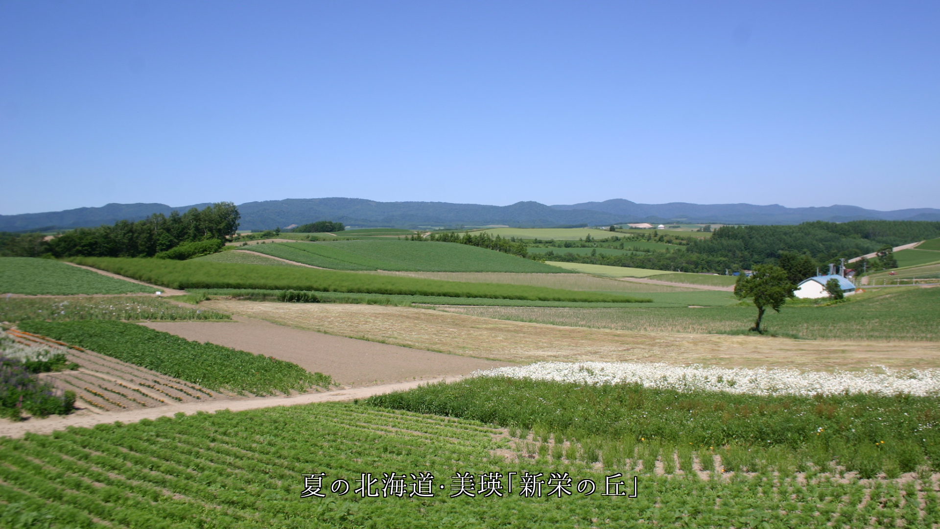 �ζ���פ��Ф���ê�Ĥ��ı�����ʡ�ι�ǽв񤦤ȡ��ʤ�����ۥäȤ��롡
