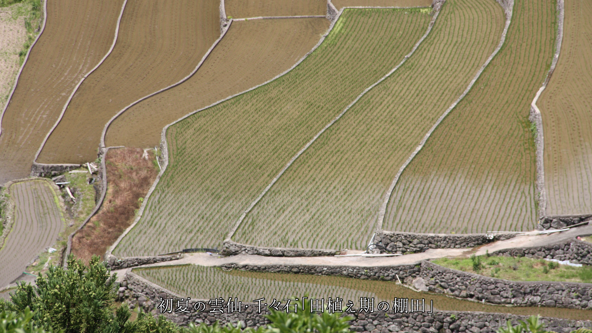 �ζ���פ��Ф���ê�Ĥ��ı�����ʡ�ι�ǽв񤦤ȡ��ʤ�����ۥäȤ��롡
