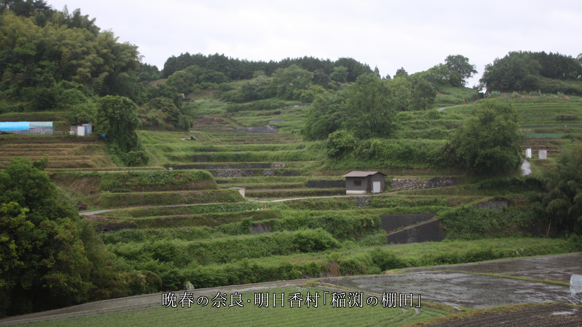 �ζ���פ��Ф���ê�Ĥ��ı�����ʡ�ι�ǽв񤦤ȡ��ʤ�����ۥäȤ��롡
