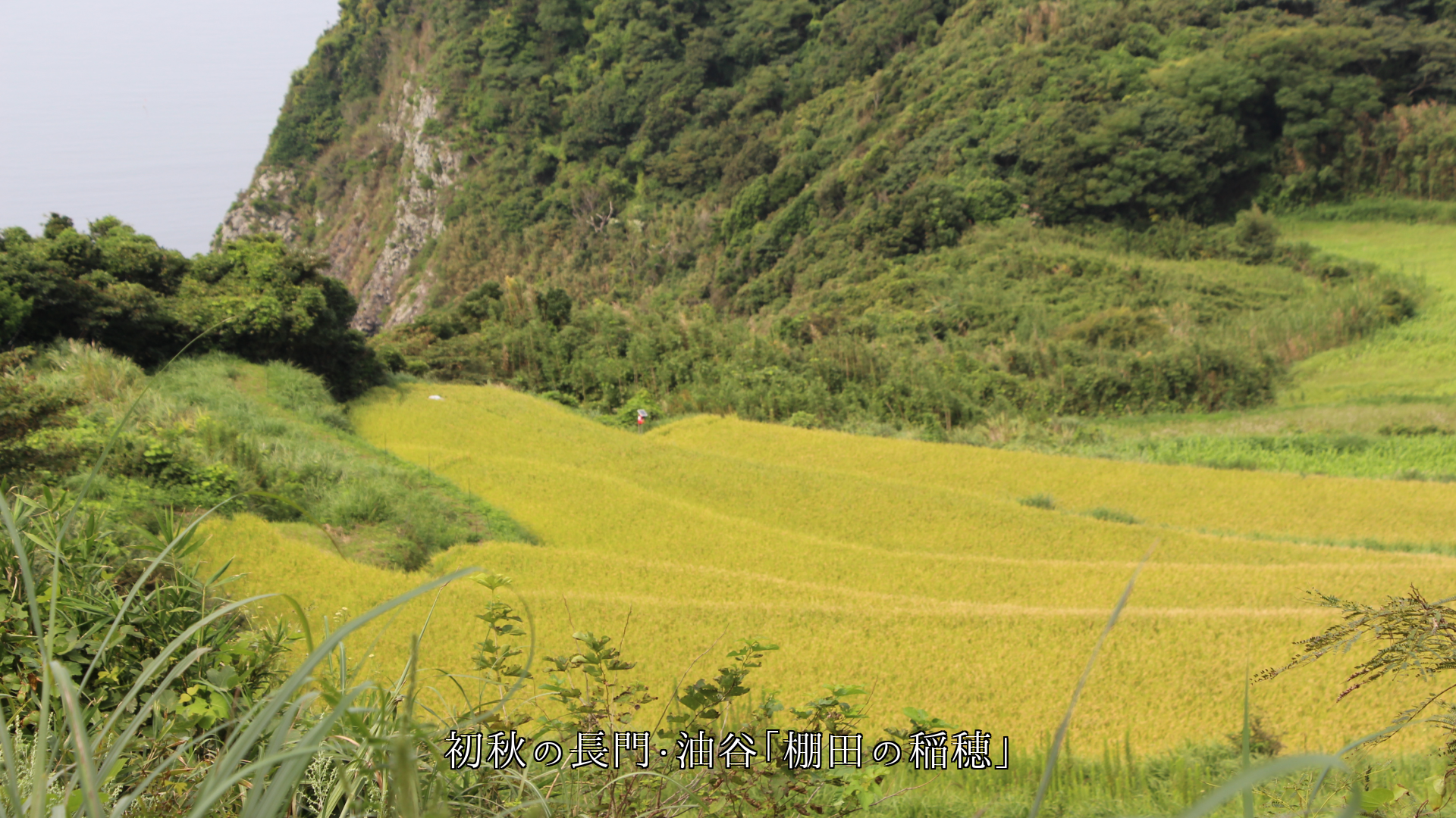 �ζ���פ��Ф���ê�Ĥ��ı�����ʡ�ι�ǽв񤦤ȡ��ʤ�����ۥäȤ��롡
